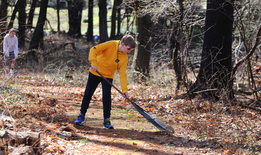 boy raking in the woods