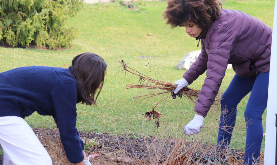 children picking up sticks