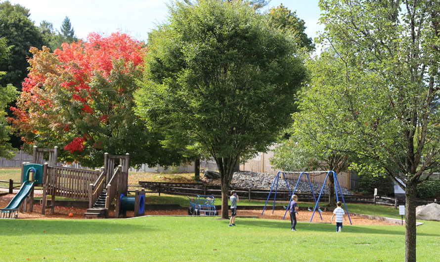 children playing outside