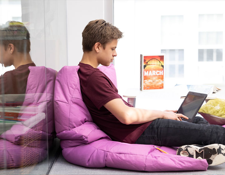 boy on pink pillow with computer