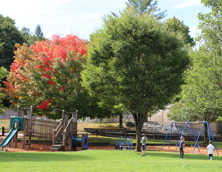 Playground with fall foliage
